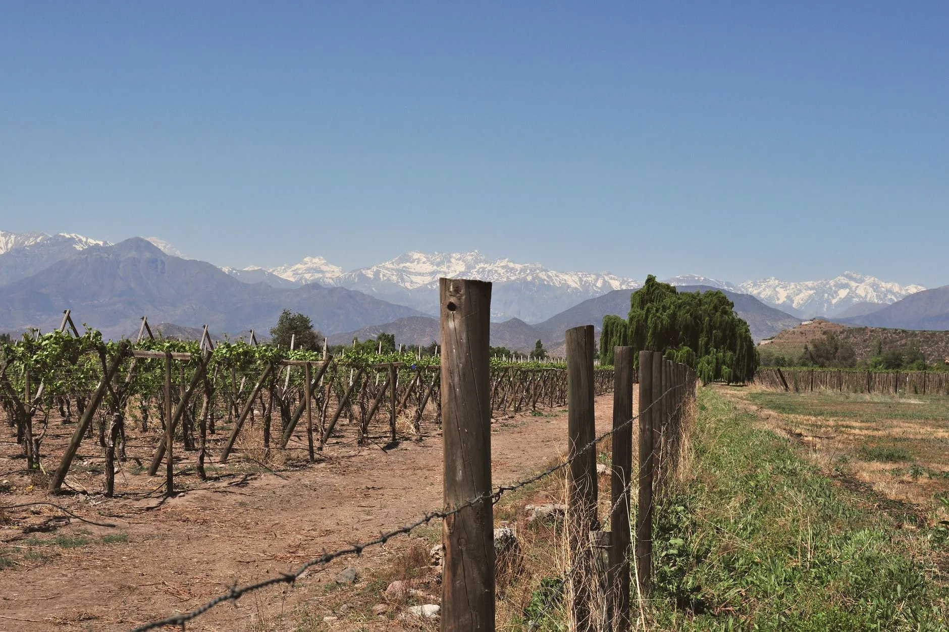 Autour de Santiago : vignobles et Andes